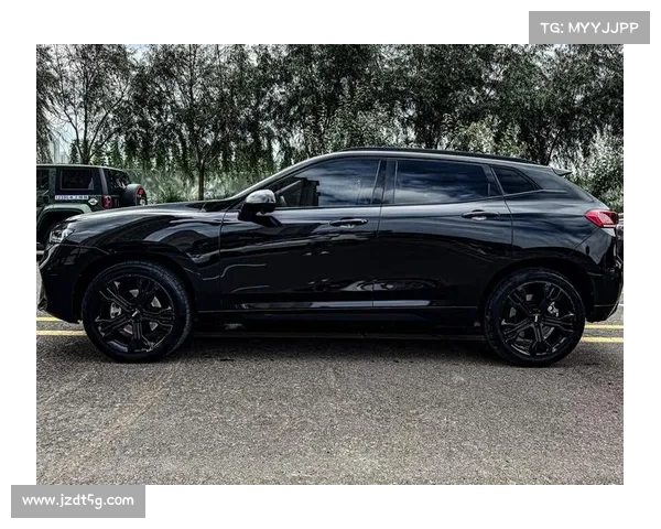 中型SUV,熏黑外观,配置不错,实拍WEY VV7 中型SUV,熏黑外观,配置不错,实拍WEY VV7